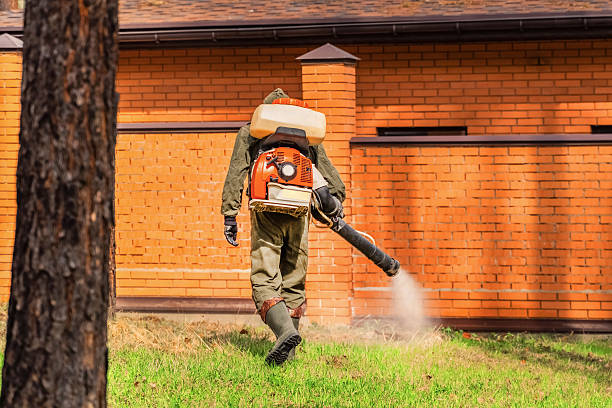 Trusted Termite Control service in Tavares, FL - Nex Pest Control